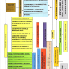 Organigramă, an școlar 2026-2027